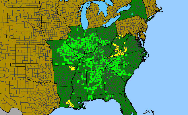The range of Tradescantia subaspera